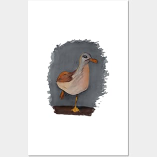 seagull Thyme Posters and Art
